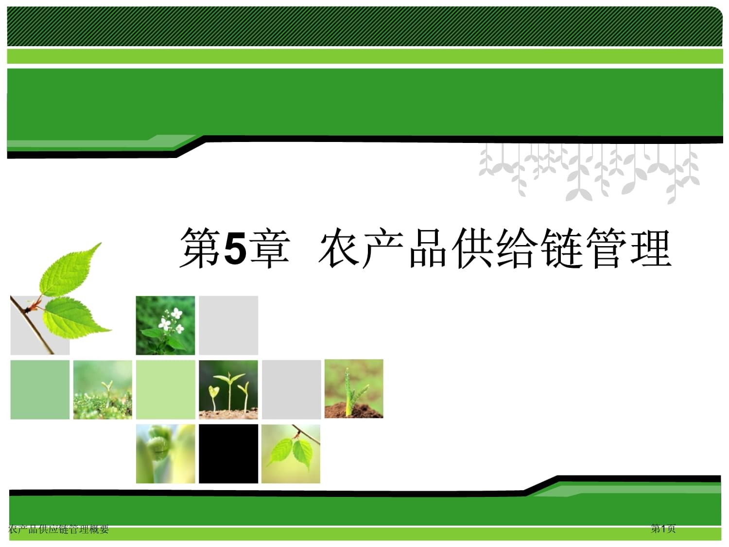 农产品供应链管理服务 构建从田间到餐桌的桥梁